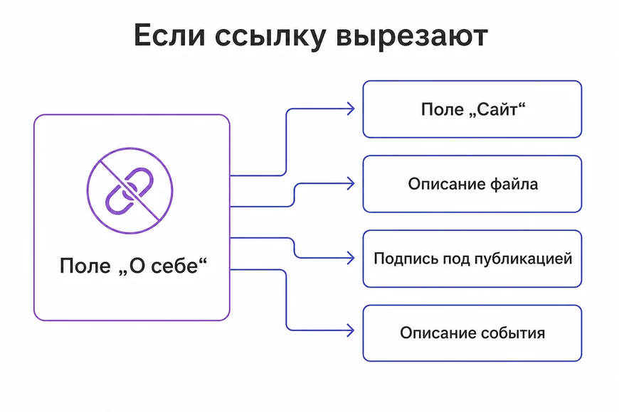 Поля профиля, через которые ссылка проходит, когда основное поле фильтруется